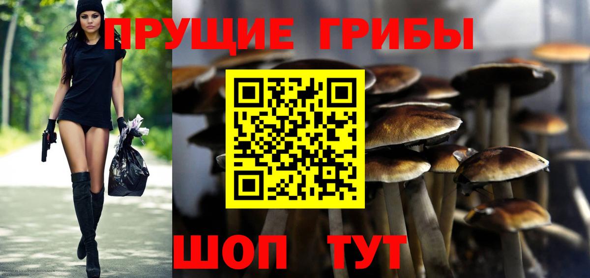 Псилоцибиновые грибы GOLDEN TEACHER Сорочинск